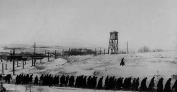 Как Солженицын с Шаламовым превратили убийц и предателей в героев