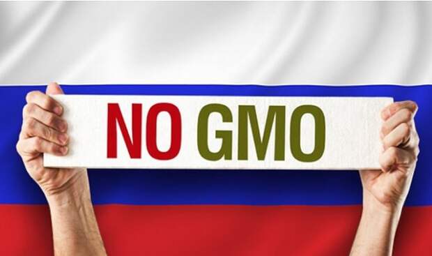 Россия объявила первый в мире запрет на импорт ГМО-содержащих продуктов Россия объявила первый в мире запрет на импорт ГМО-содержащих продуктов