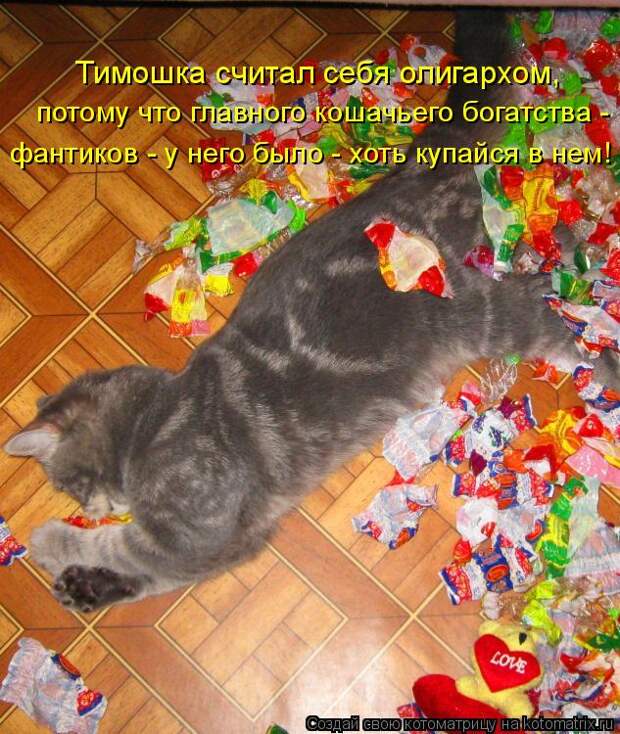 Котоматрица - Тимошка считал себя олигархом, потому что главного кошачьего богатства
