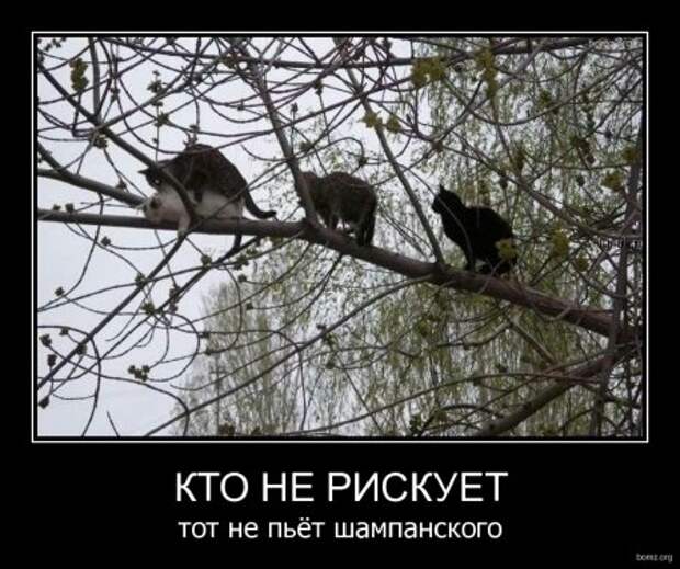Демотиваторы у нас высший класс, только прикольные!