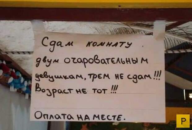 Забавные объявления об аренде и прокате (24 фото)