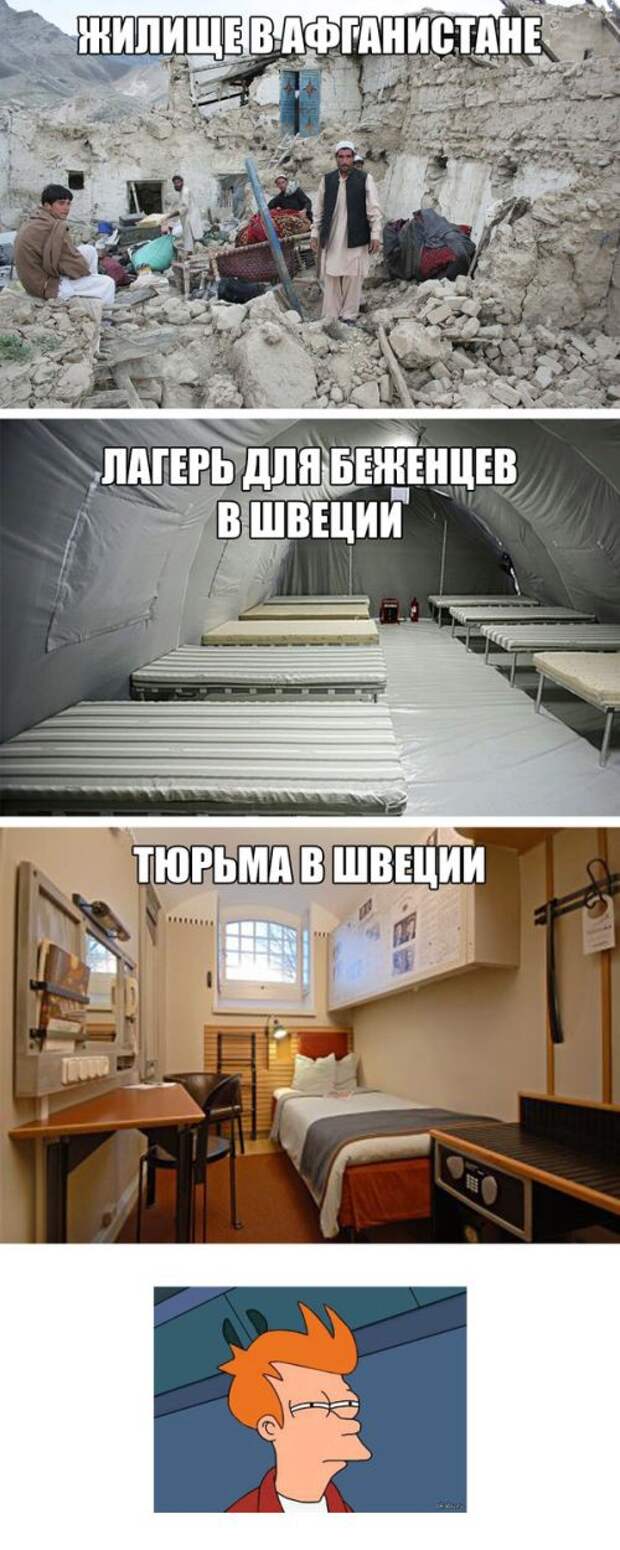 Прикольные картинки прикол, юмор