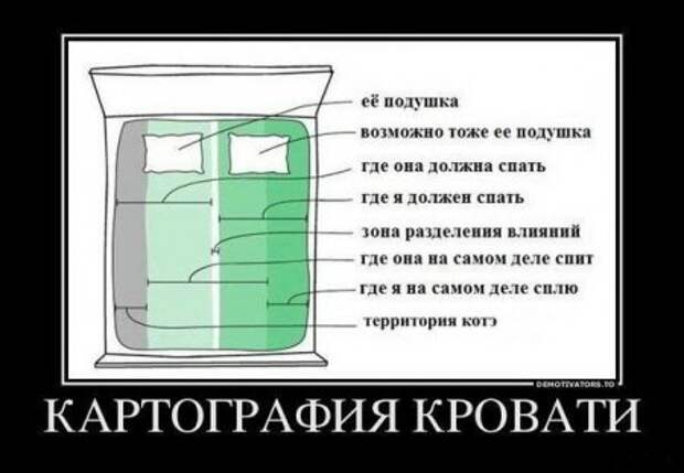 Демотиватоы любой день прикольным сделают.