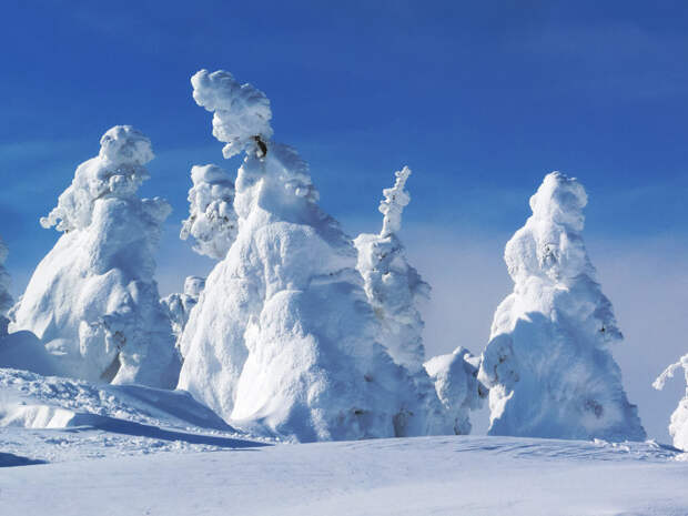 Снежные монстры в Японии горные лыжи, онсэн япония, снег в японии, фудзитрэвел, япония