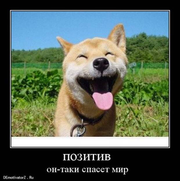 Юмор, демотиваторы, прикольные подписи, смешные фото.