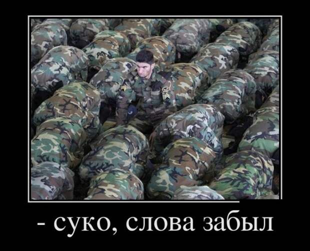 Демотиваторы (30 фото)