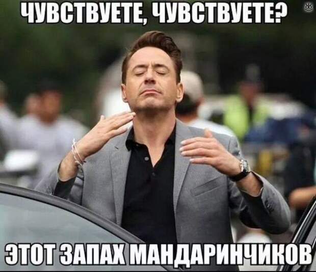 Курьёзы с разных концов света 1
