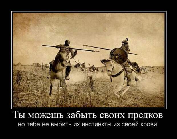 Демотиваторы (30 фото)