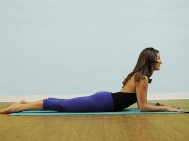 http://yoga-practice.org/wp-content/uploads/2013/10/101-sphinx-pose-salamba-bhujangasana.jpg