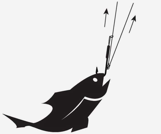 Два в одном: багорик - крюк  для борьбы с крупной рыбой