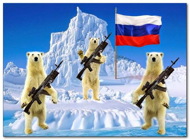 Сенатор США: Россия играет в Арктике в шахматы, а мы в крестики-нолики Сенатор США: Россия играет в Арктике в шахматы, а мы в крестики-нолики