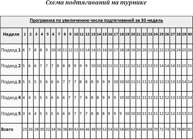 Схема подтягиваний на турнике с нуля