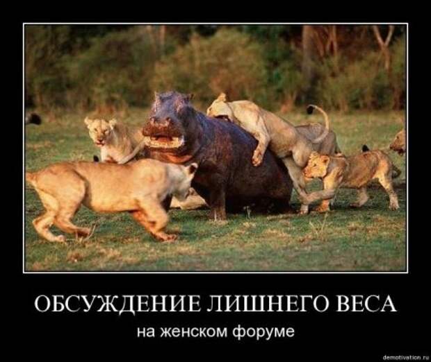 Демки, будет смешно!