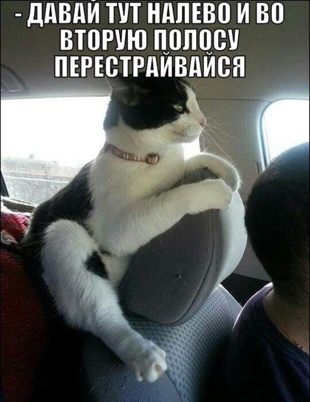 Фотоприколы на автотематику (17 шт)