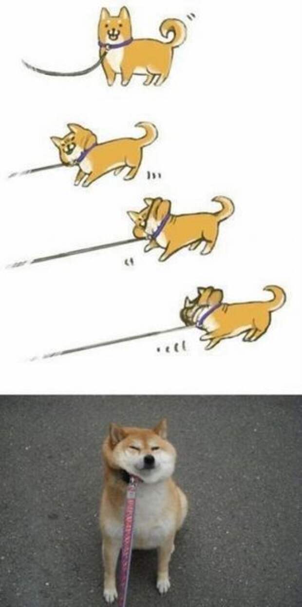 Фотоподборка