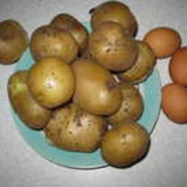 Яйца взбить. Картофель отварить в мундире до готовности. Еще теплым очистить и протереть через металлическое сито. 