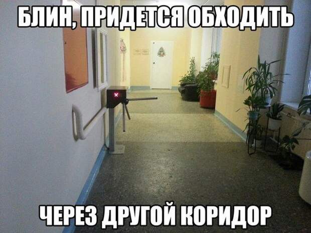 Смехотерапия Писца. Закаляйся!