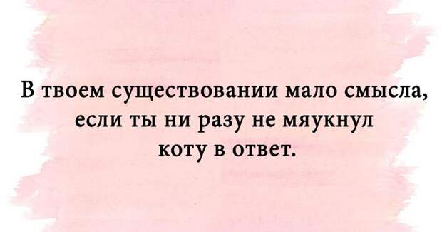 Яркий юмор для души