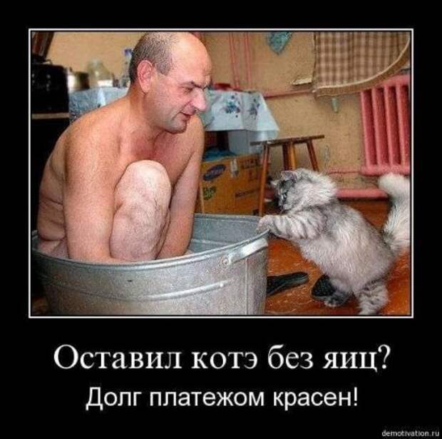 Демонтиваторы приколы.