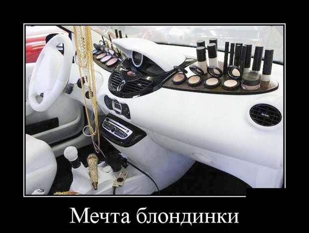 Демотиваторы (30 фото)