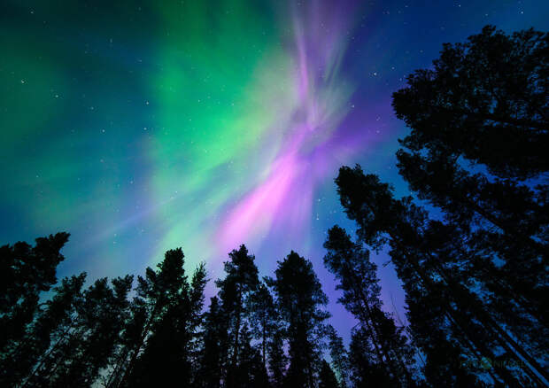 northern-lights-that-i-photographed-in-my-home-country-finland-7__880