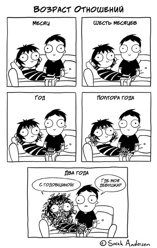 000355-13mtexkyju