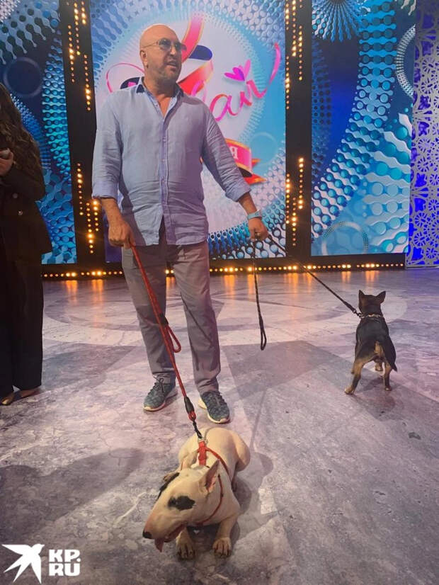 Один из женихов пришел с четвероногими друзьями.