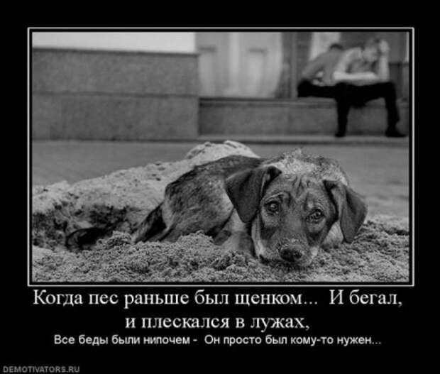 демотиваторы со смыслом обо всем.
