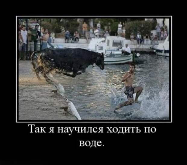 Демотиваторы свежие.