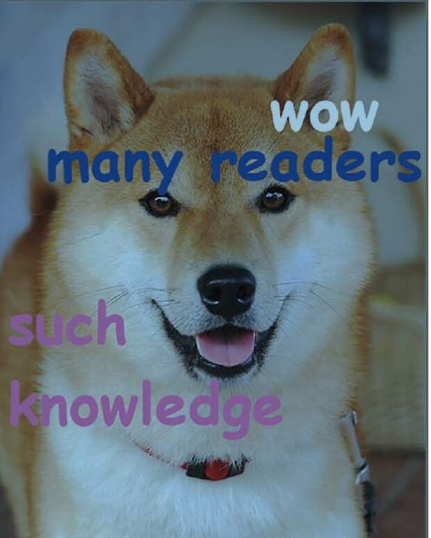 мем doge