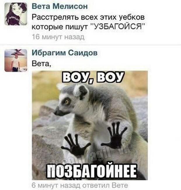 Смешные комментарии из социальных сетей Смешные комментарии из социальных сетей комментарии, прикол, социальная сеть