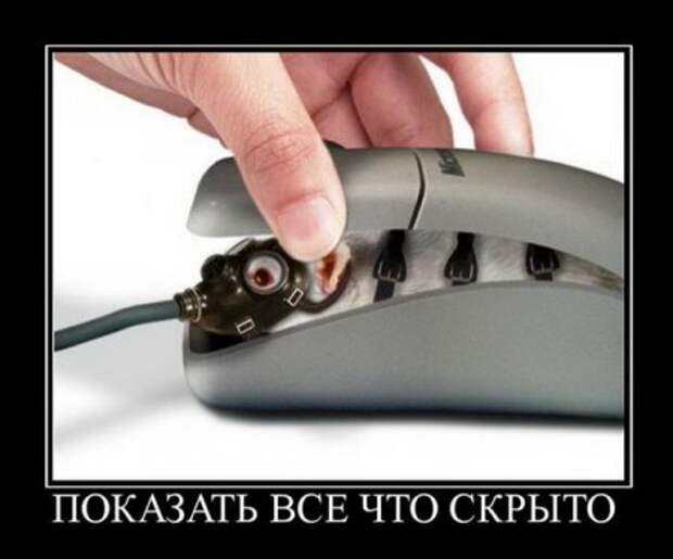 демотиваторы смешные картинки.