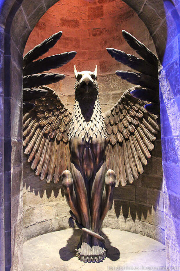 Музей маленького мальчика в очках HarryPotter 35 Музей маленького мальчика в очках