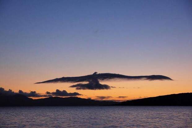 Орёл небо, облака, формы
