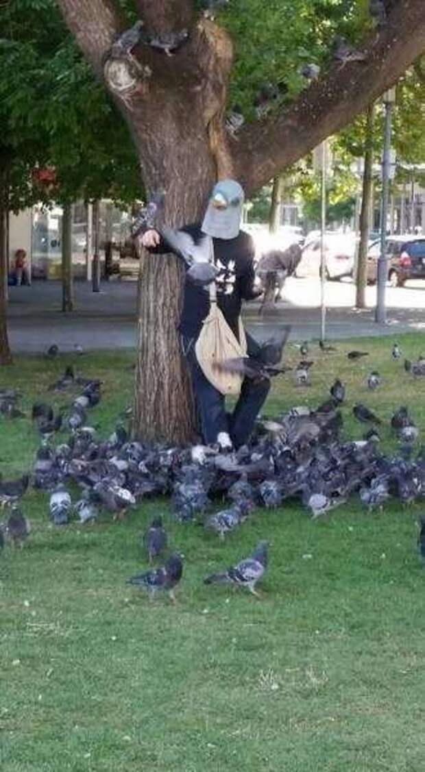 Свежий юмор Свежий юмор