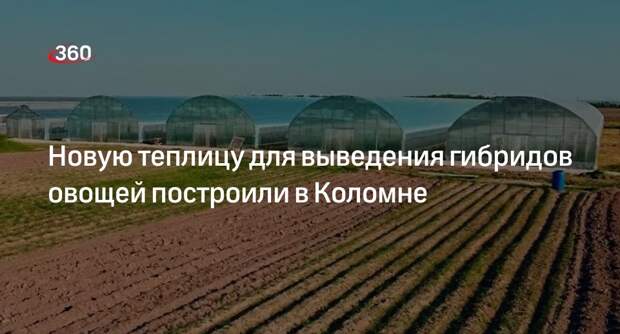 Новую теплицу для выведения гибридов овощей построили в Коломне