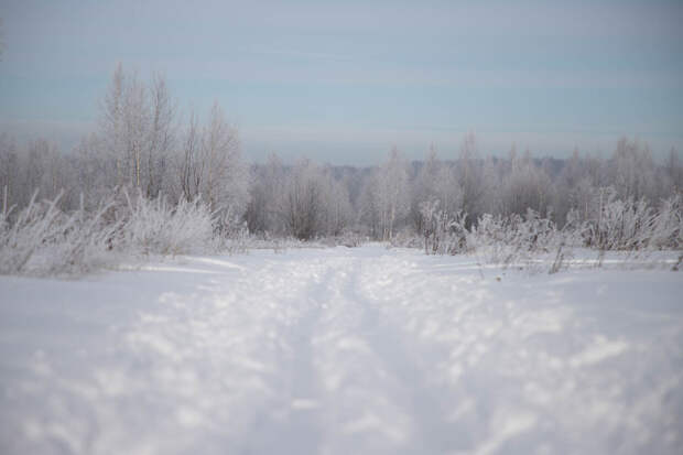 В Тульской области 5-6 февраля ожидается аномально-холодная погода
