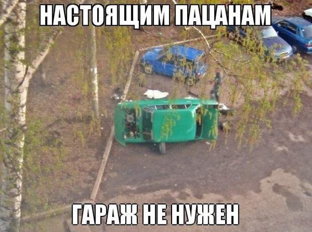 Фразы в картинках