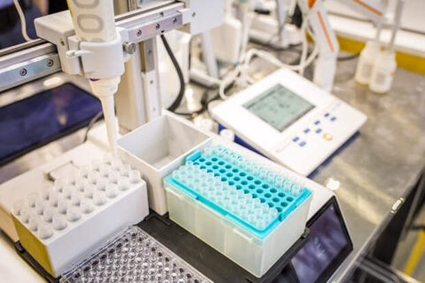 Кубанский учёный стал лауреатом президентской премии в области науки и инноваций