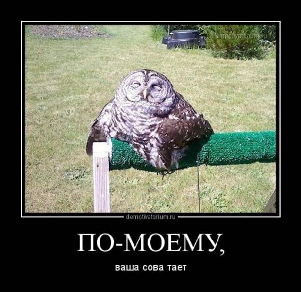 Новые прикольные демотиваторы (20 фото)
