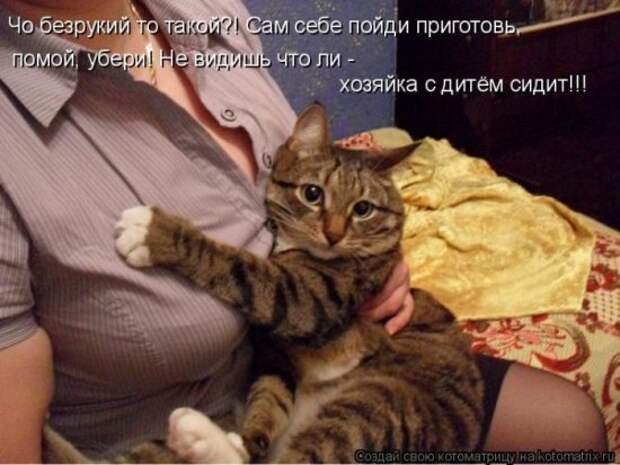 Котоматрица 26