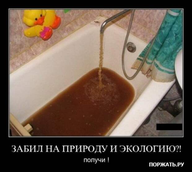 Демы как они есть