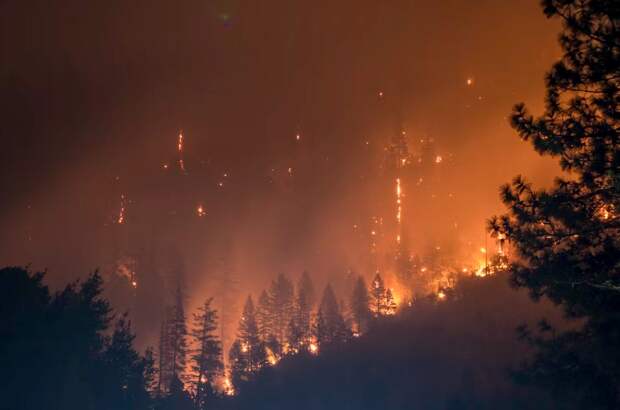 Эколог Пукалов назвал возможные причины природных пожаров в 2024 году