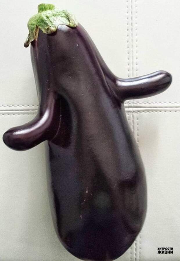Овощи, забывшие, что они растения