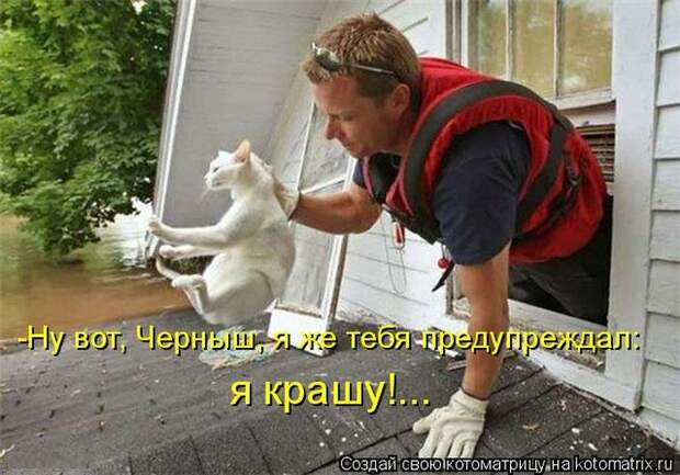 Мысли вслух :)