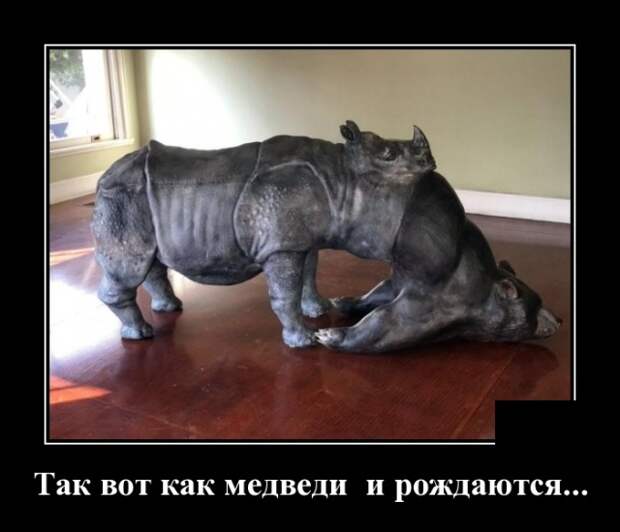 Демотиваторы (30 фото)