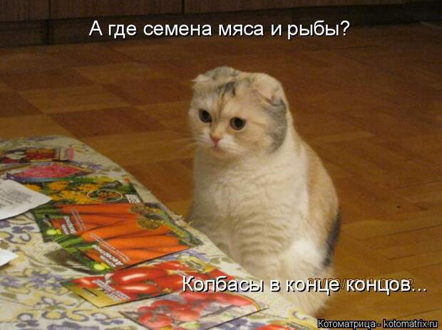 Котоматрица: А где семена мяса и рыбы? Колбасы в конце концов...