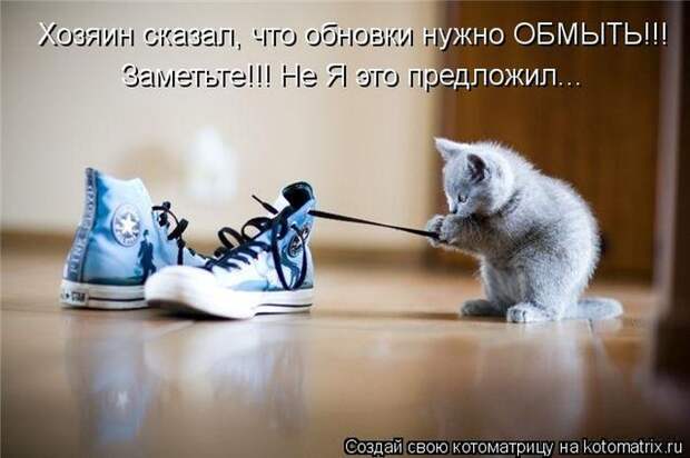 Котоматрица №33