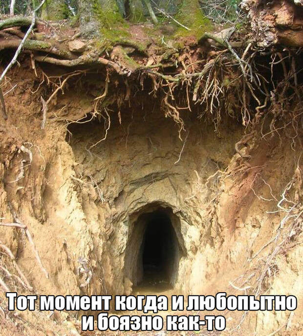 Прикольные картинки картики, прикол, юмор