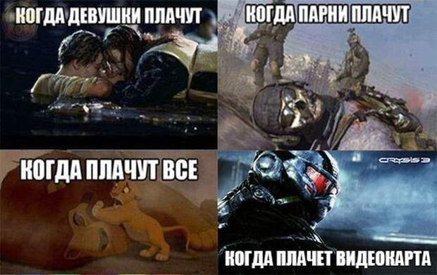 Смешные картинки с подписями катинки, прикол, юмор